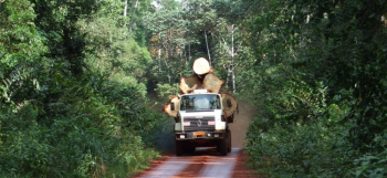 Legal transport in Cameroun - (C) Nils Bourland (KMMA)