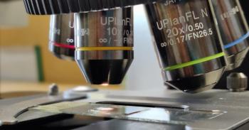 A thin section of wood under the microscope